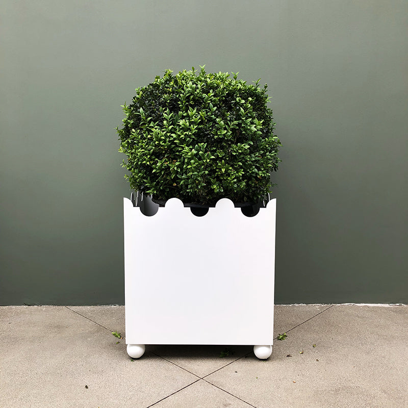 THE PALOMA PLANTER