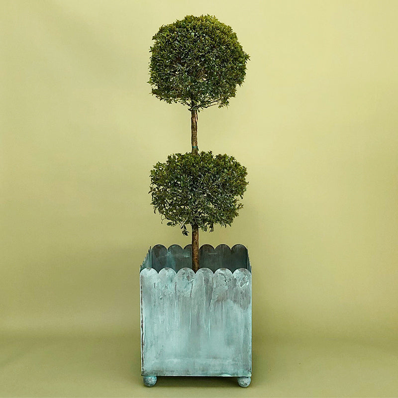 THE VERDIGRIS SCALLOPED PLANTER